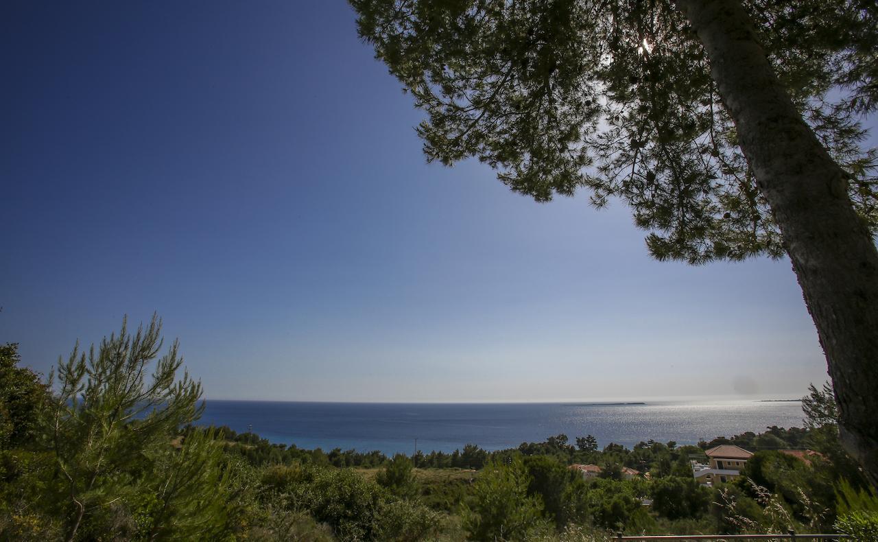 Sunset Paradise Lassi  Quarto foto
